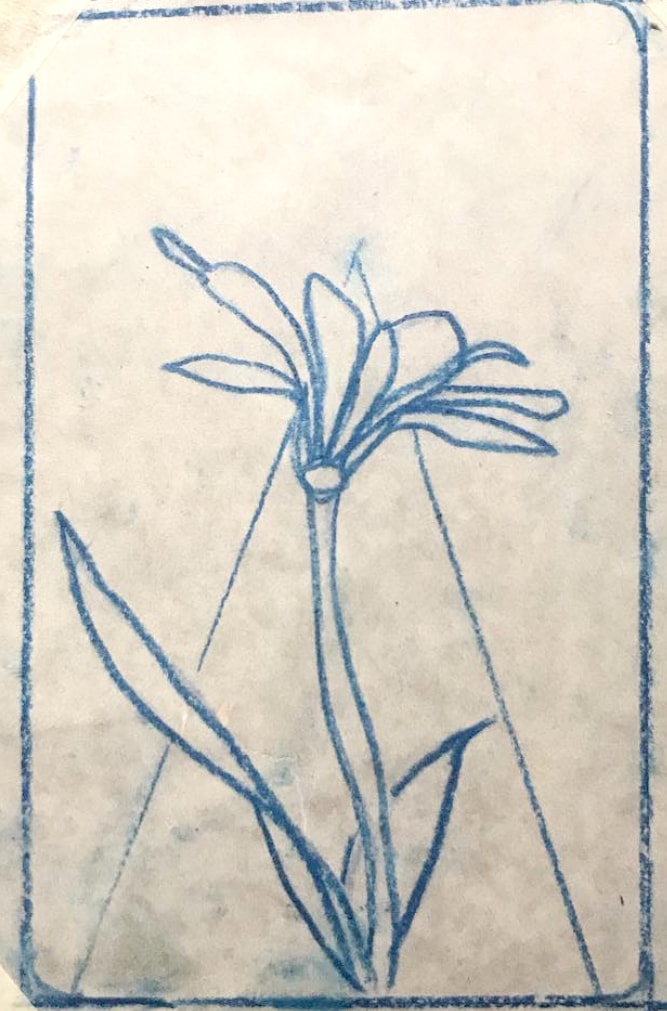 Flower — blue ink botanical sketch of a lily on aged paper