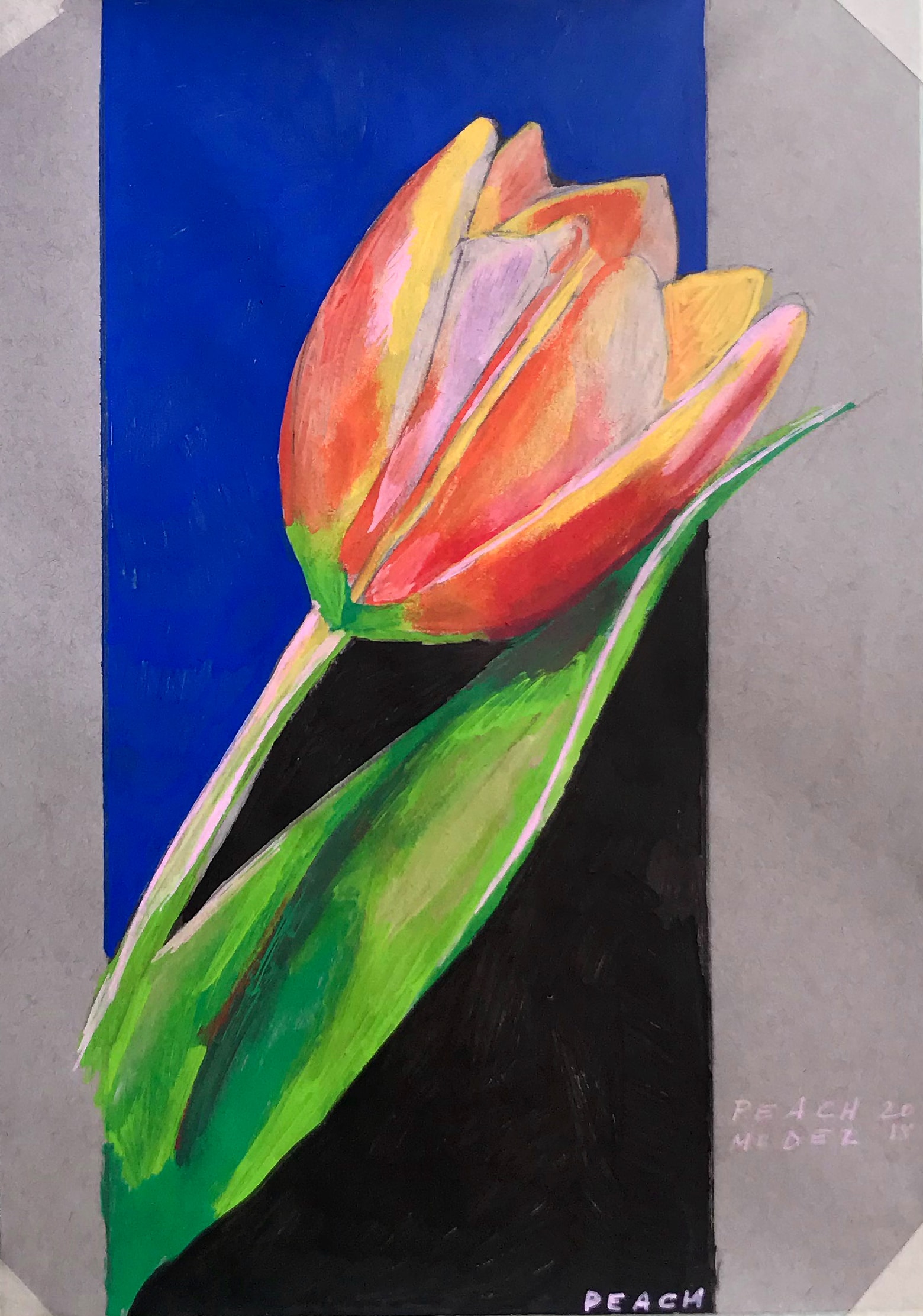Tulip — pastel drawing of a red-orange tulip on blue and black background, signed Peach 2018