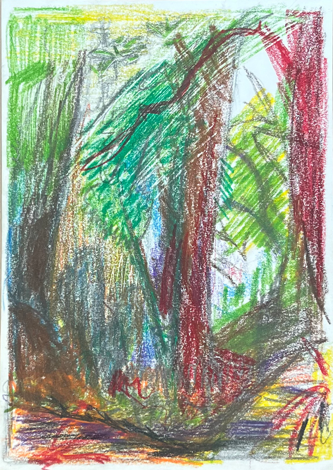 Forest — layered crayon and pastel drawing of trees in greens, reds, yellows and blues, 2022-2025