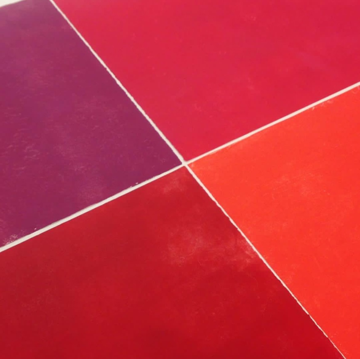 Abstract red and purple color field print